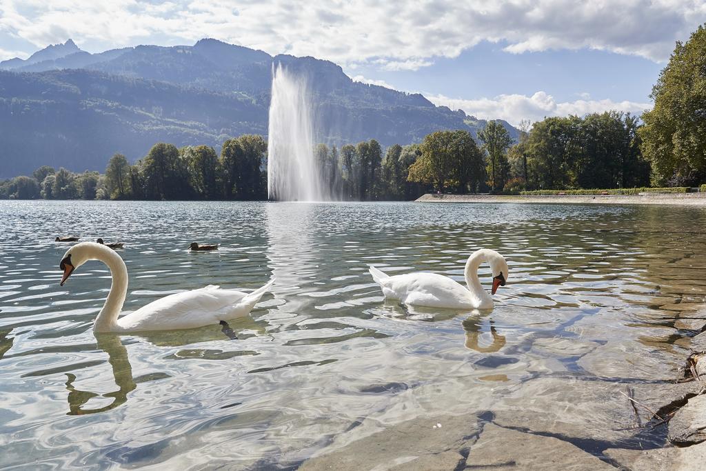 Parkhotel Schwert Везен Экстерьер фото